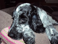 /album/ilpo/a31-03-12-010-jpg/